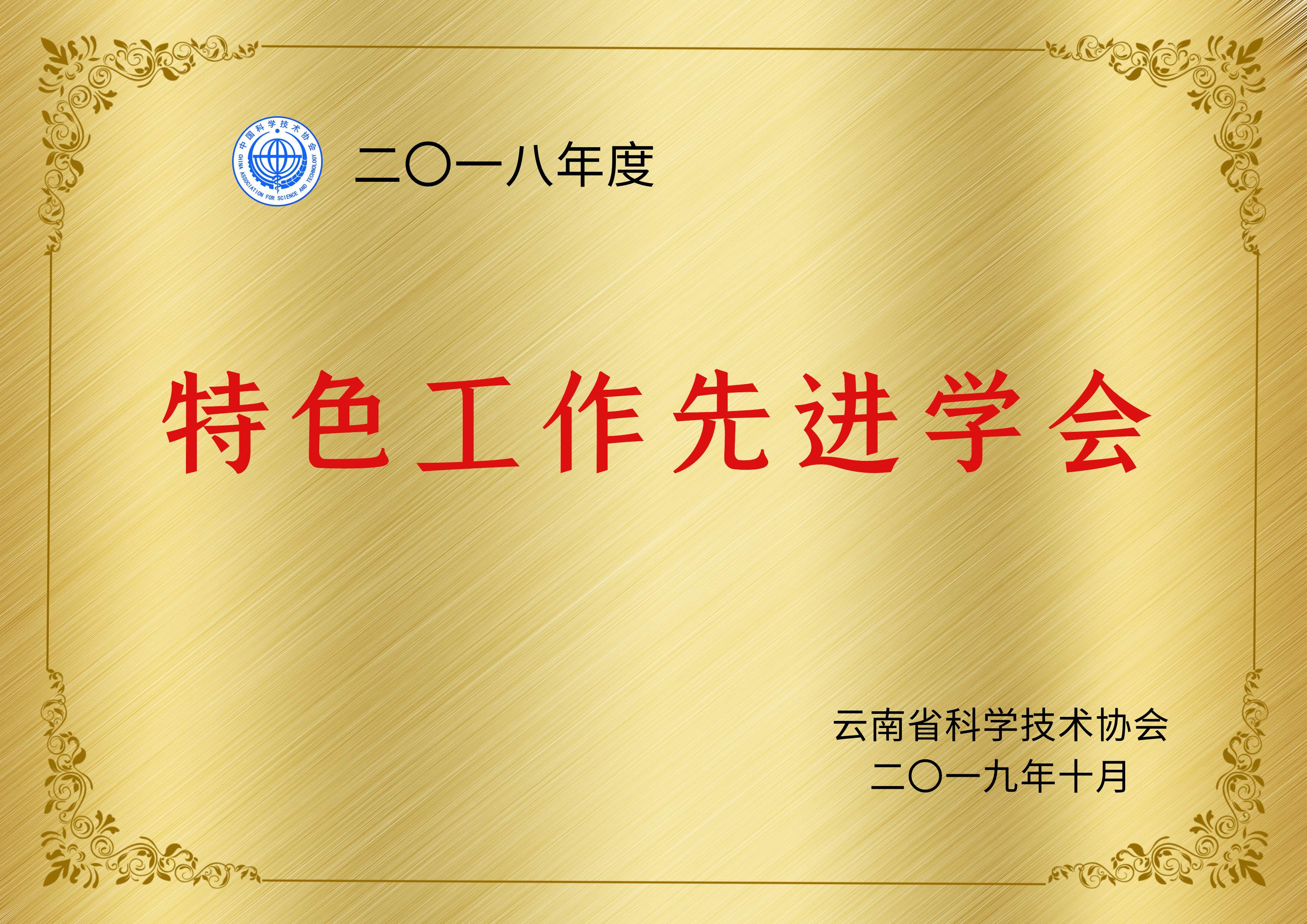 2018年度特色工作先进学会.png
